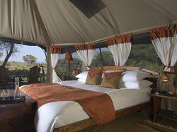 Elephant Bedroom Camp
